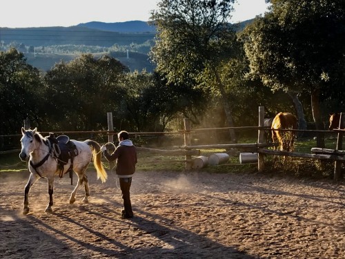 Horsemanship con Marco Barba. en Salas de la Ribera