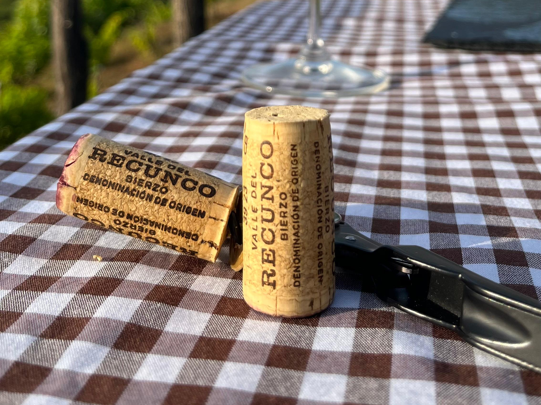 Reconoce las viñas de nuestros antepasados